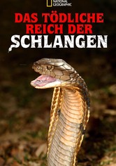 Das tödliche Reich der Schlangen