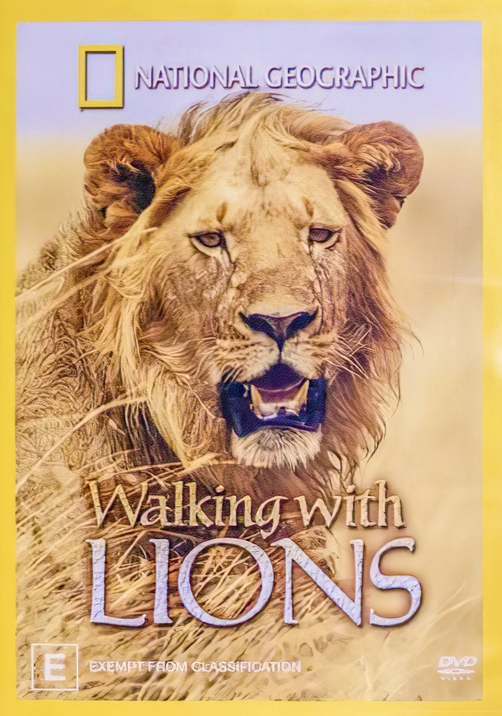 Walking with Lions