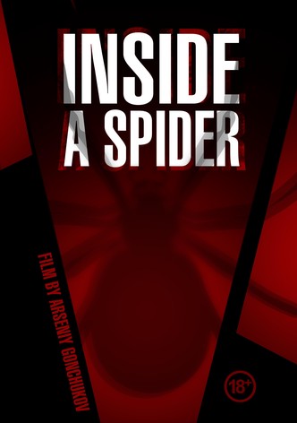 Inside a spider