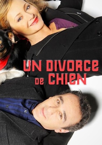 Un divorce de chien