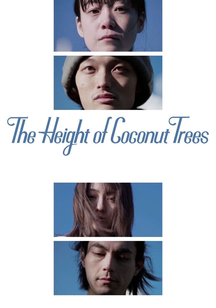 The Height of the Coconut Trees