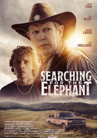 Searching for the Elephant