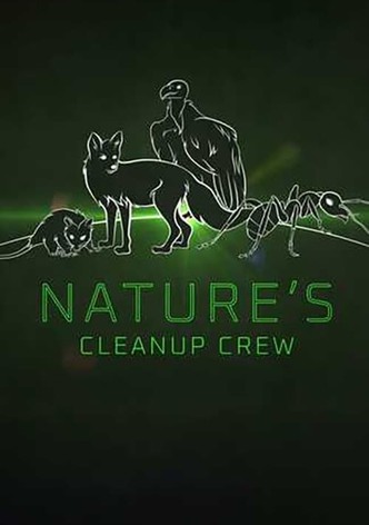 Clean Up Crew