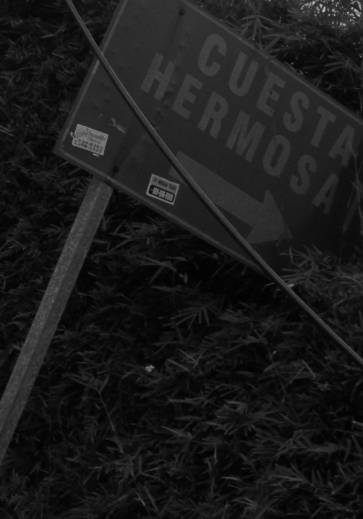 The Ghosts of the Boss