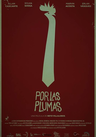 All About the Feathers