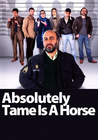 Absolutely Tame Is a Horse