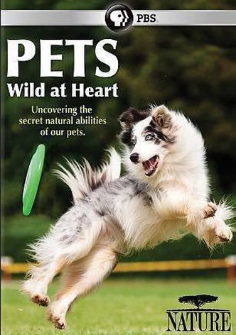 Unsere wilden Lieblinge