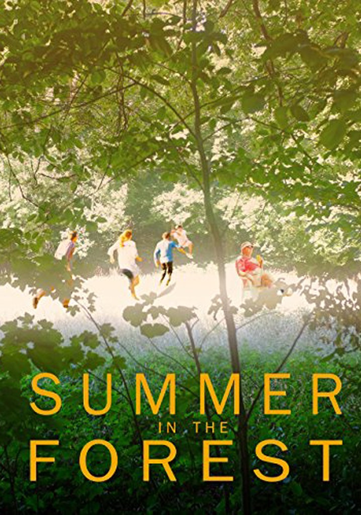 Summer in the Forest