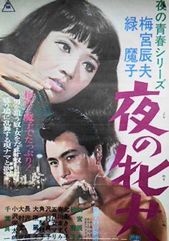 Yoru no mesuinu