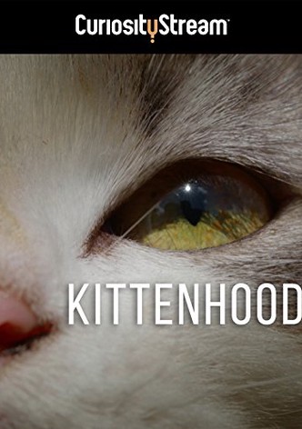 Kittenhood