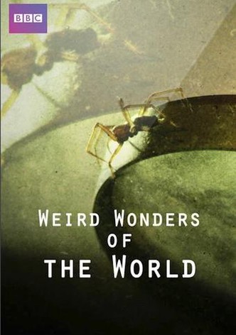 Weird Wonders of the World