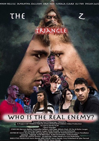 The Z Triangle