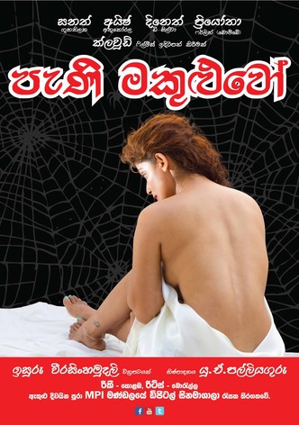 පැණි මකුළුවෝ