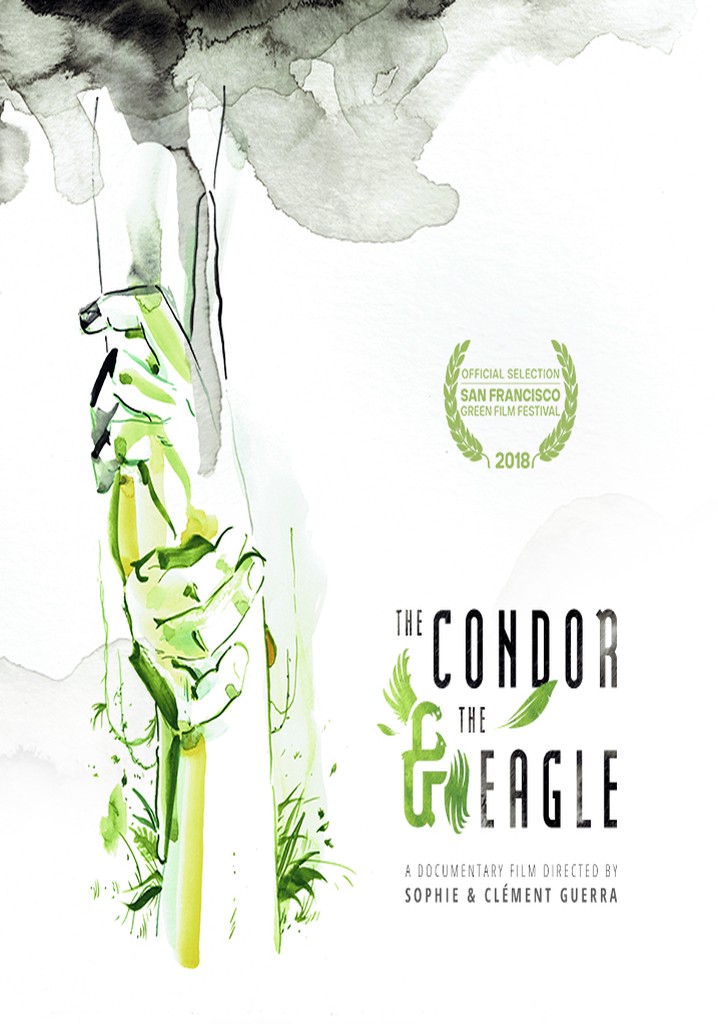 The Condor & The Eagle
