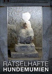 The Mysterious Mummified Dogs of Ancient Egypt