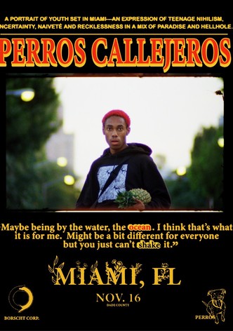 Perros Callejeros