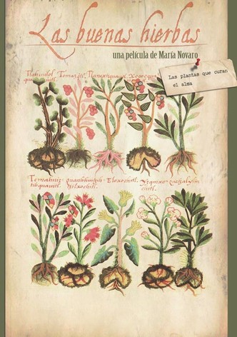 The Good Herbs