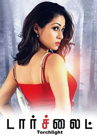 Torchlight poster