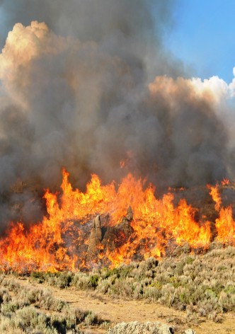 Rangeland Under Fire