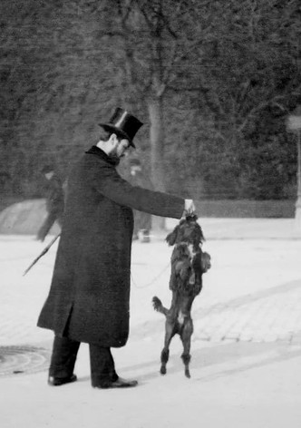 Chien Caniche Noir Sautant