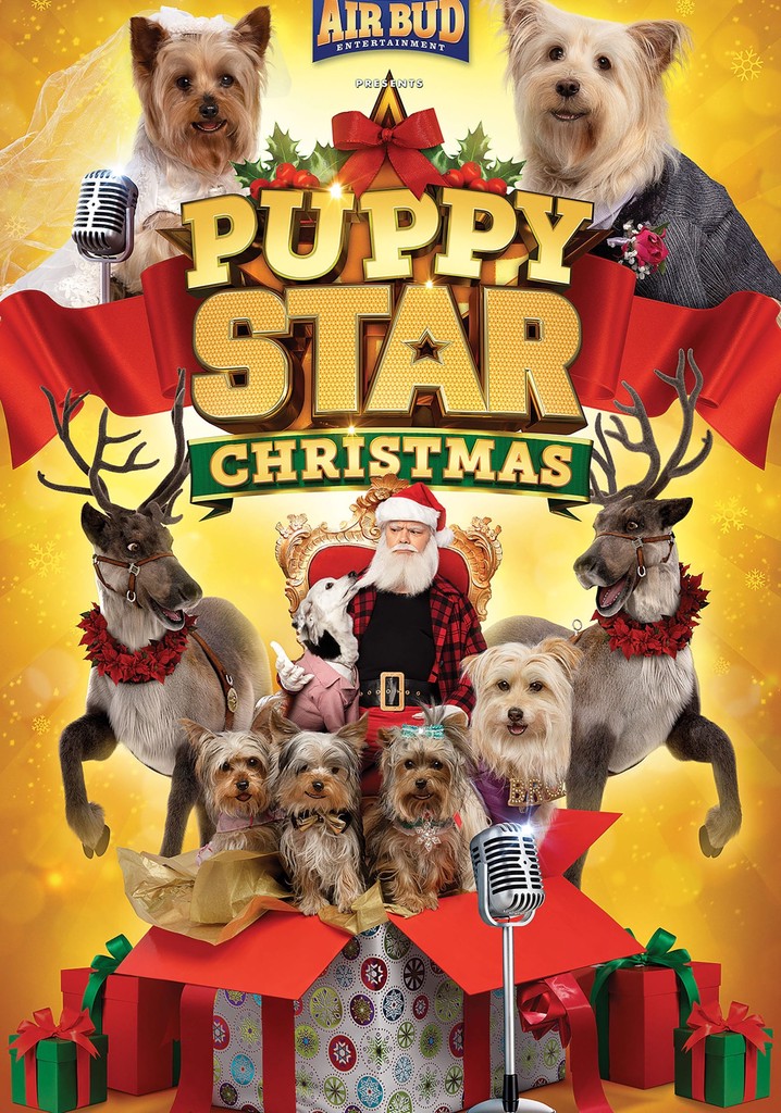 Puppy Star Christmas