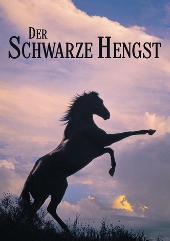 Der schwarze Hengst