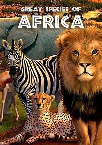 Afrikas Ikonen der Tierwelt