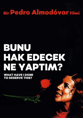 Bunu Hak Edecek Ne Yaptım?