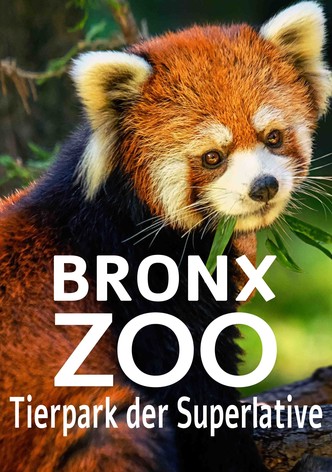 Bronx Zoo - Tierpark der Superlative