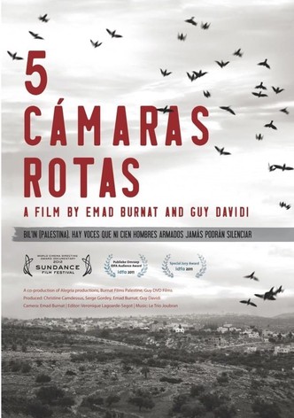5 cámaras rotas