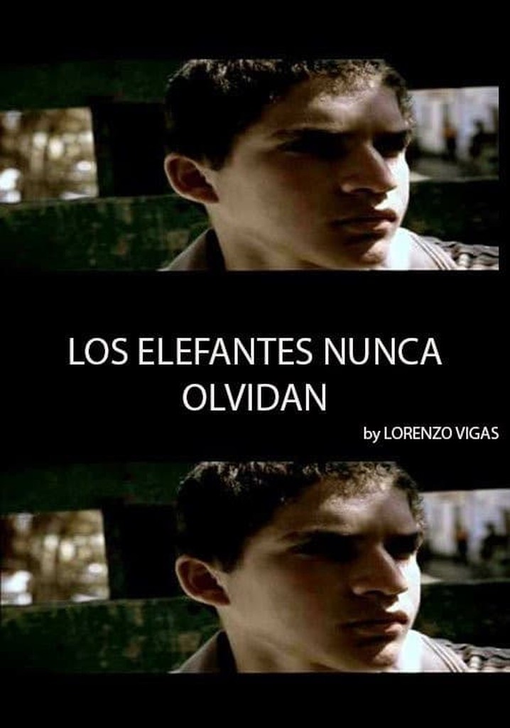 Elephants Never Forget