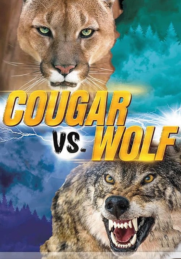 Cougar v. Wolf