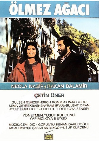 Ölmez Agaci