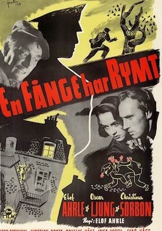 En fånge har rymt