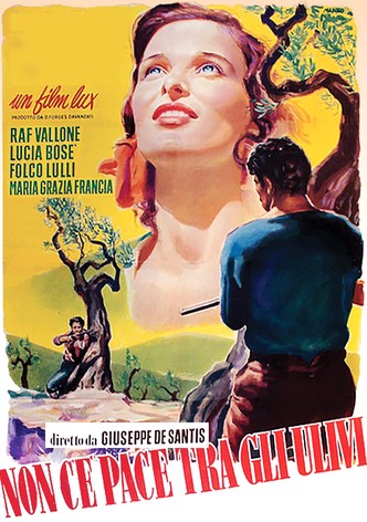 オリーヴの下に平和はない