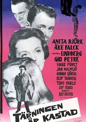 A Sorte Está Lançada