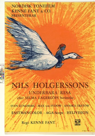 La merveilleuse aventure de Nils Holgersson