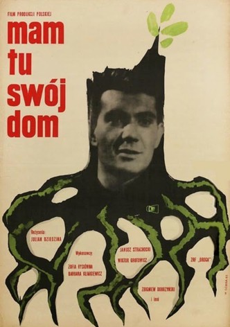 Mam tu swój dom