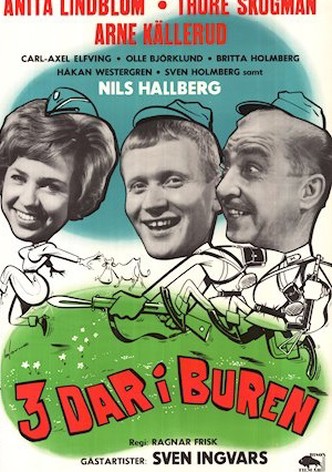 Tre dar i buren