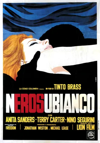 Attraction poster