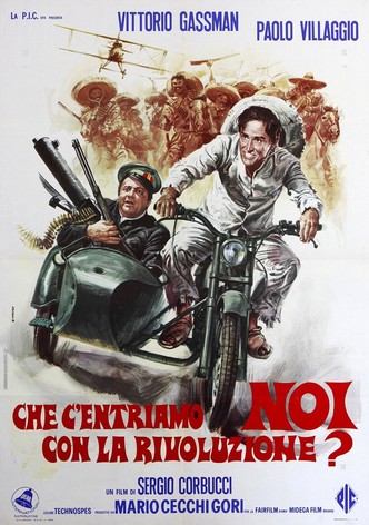 What Am I Doing in the Middle of the Revolution?