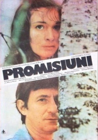 Promisiuni
