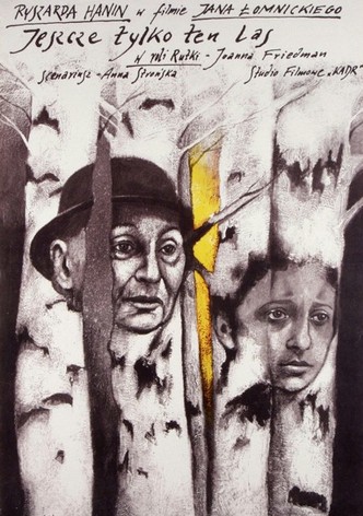 Just Beyond This Forest