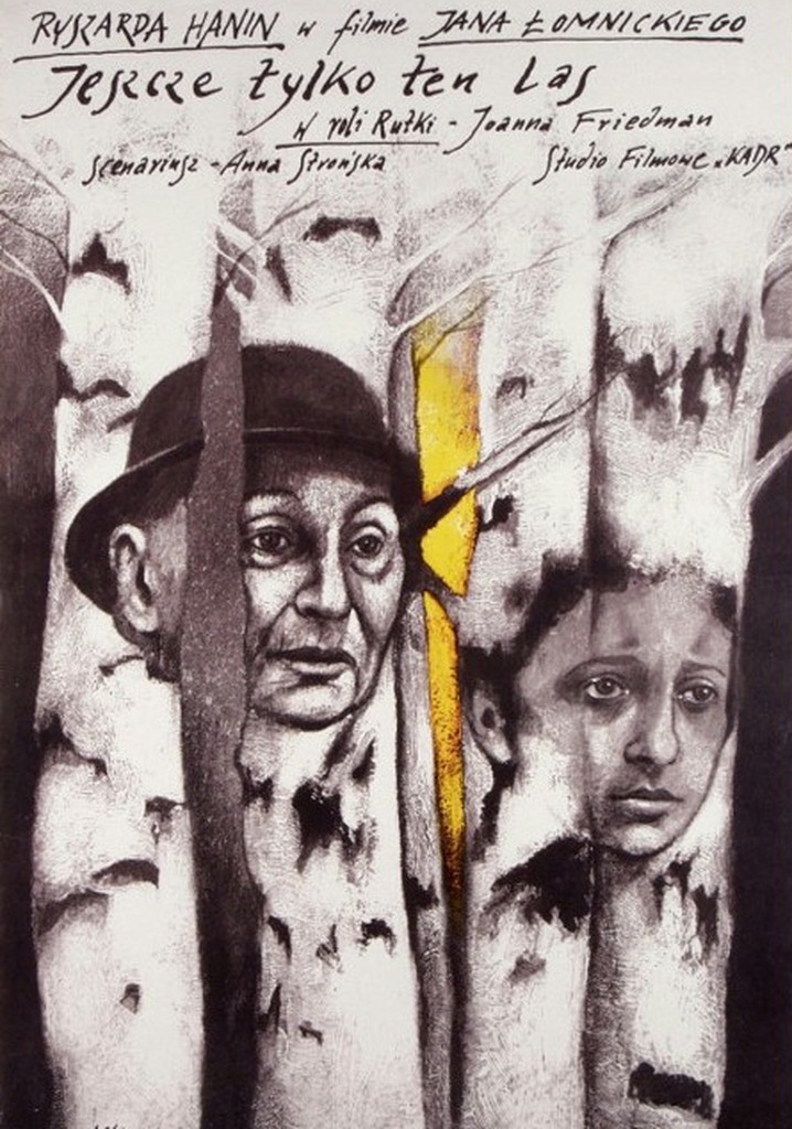 Just Beyond This Forest