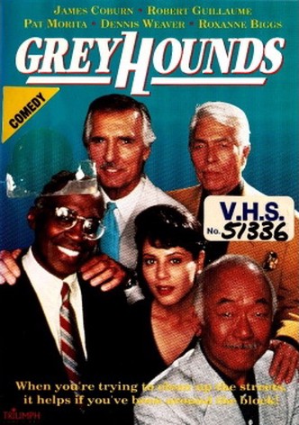 Greyhounds - Schnüffler gehen nie in Rente