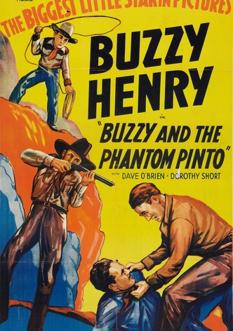 Buzzy and the Phantom Pinto
