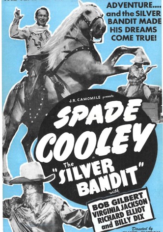 The Silver Bandit