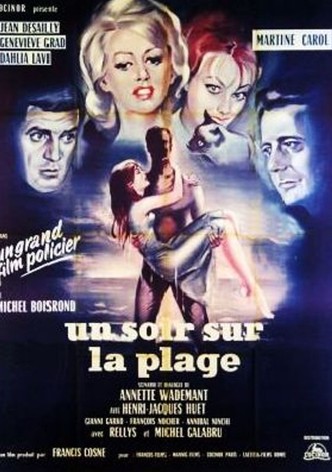 One Night at the Beach