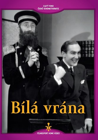 Bílá vrána
