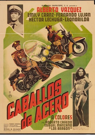 Caballos de acero